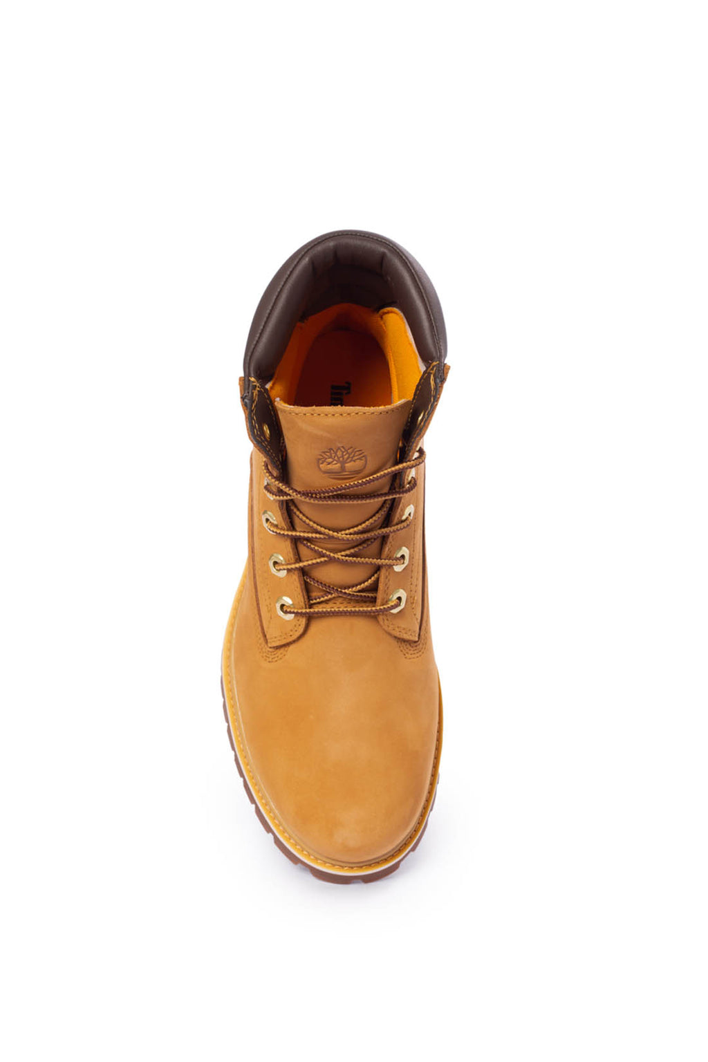 TIMBERLAND - Men's Alburn 6-inch boots-10